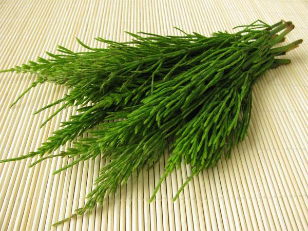 Травы и витамины для кожи и волос thumbnail