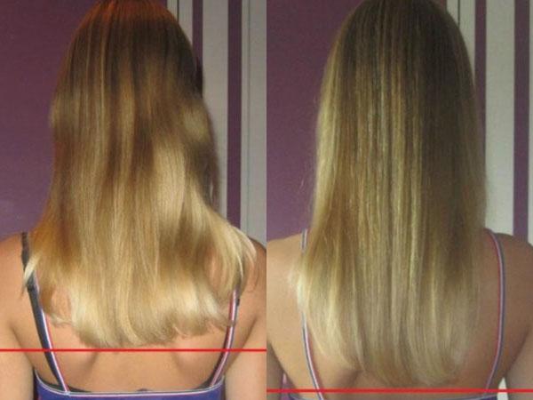 Шампунь сибирского здоровья для роста волос