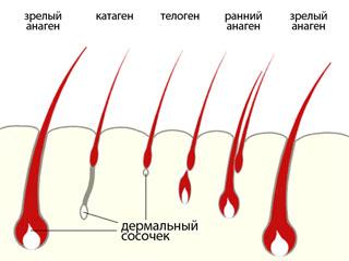 Средство от выпадения волос бальзам