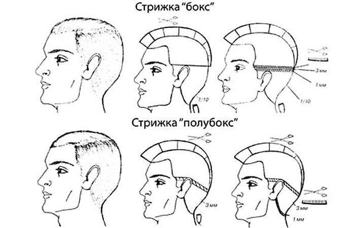 стрижка 2 насадки мужская фото схема и описание