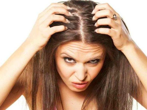Cухая кожа жирные волосы: повышенная сухость головы при сальных локонах, как избавиться от проблемы, рецепты масок, подходящие шампуни, отзывы